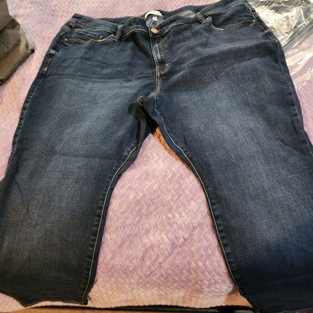 Lane Bryant Jeans